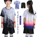 スポーツ 上下セット ウォーキング キッズ 吸汗 ハーフパンツ 親子 半袖 女の子 学生 大人 レディース 速乾 男の子 ジュニア ランニングウェアセット メン...