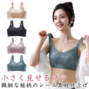胸を小さく見せるブラ 脇高設計 小さく見えるブラジャー ノンワイヤーブラ 大きな胸を小さく見せるブラ 着痩せブラ 補正下着 脇肉 背中すっきり 小さく見えるブラ ナイトブラ レース 和装ブラ フルカップ