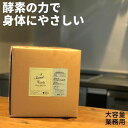 食洗機用洗剤 サヴァーディッシュウォッシュ 20L 食洗機洗剤 業務用食洗機 食器洗い機 液体 キッチン用洗剤 食器洗い パイナップル酵素 UE酵素