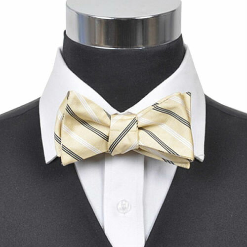 蝶ネクタイ ボウタイ イエロー ダブル細ストライプアクセサリー メンズジュエリー ジュエリーギフト プレゼント お祝い 結婚式 礼服 結婚式 冠婚葬祭 ビジネス スーツ メンズ 男性 彼氏 夫 新生活 父の日 バレンタイン