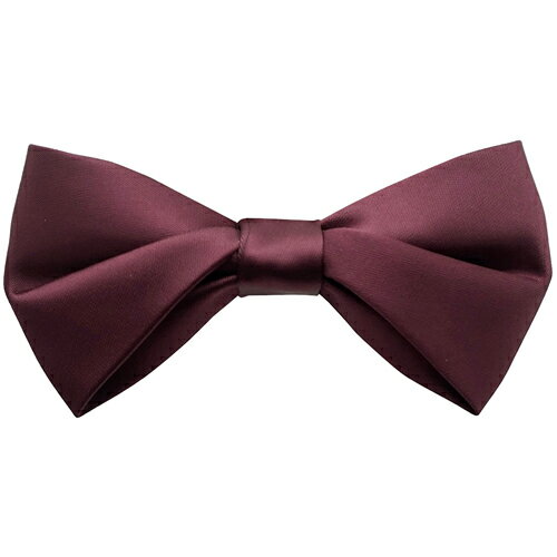 ダークレッド 無地 変形 プランプ 蝶ネクタイ ボウタイ 簡易装着タイプアクセサリー メンズジュエリー ジュエリーギフト プレゼント お祝い 結婚式 礼服 結婚式 冠婚葬祭 ビジネス スーツ メンズ 男性 彼氏 夫 新生活 父の日 バレンタイン