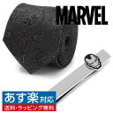 Marvel アイアンマン ペイズリー ネクタイ ネクタイピン セットアクセサリー メンズジュエリー ジュエリーギフト プレゼント お祝い 結婚式 礼服 結婚式 冠婚葬祭 ビジネス スーツ メンズ 男性 彼氏 夫 新生活 父の日 バレンタイン