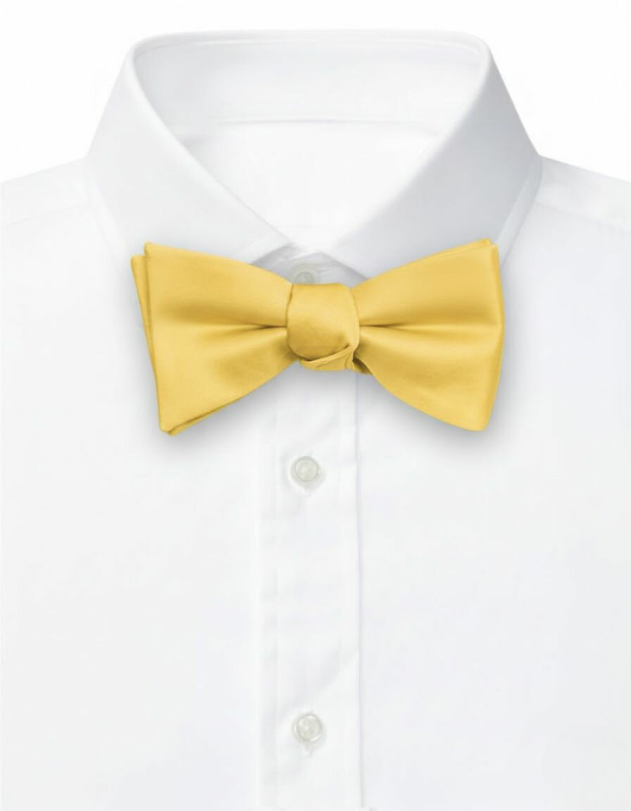 蝶ネクタイ ボウタイ イエロー 手結びメンズアクセサリーの通販ギフト プレゼント お祝い 結婚式 ビジネス 新生活 父の日 彼氏 夫 バレンタイン