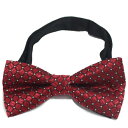 蝶ネクタイ メンズ 結婚式 新郎 ワンタッチ レッド シルバードット ダイヤ柄 ボウタイ スーツアクセサリー専門店 父の日 ギフトにも 男性 誕生日 プレゼント...
