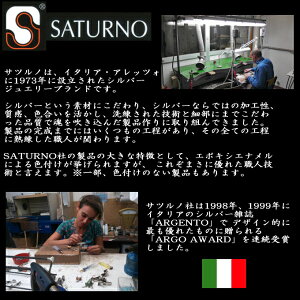 【カフスマニア】【SATURNO・サツルノ】ラペルピン・幸せを呼ぶ虫・てんとう虫のタイタック(ピンブローチ)【あす楽対応】【5,400円以上で送料無料】【楽ギフ_包装選択】【楽ギフ_メッセ入力】【02P01Mar15】