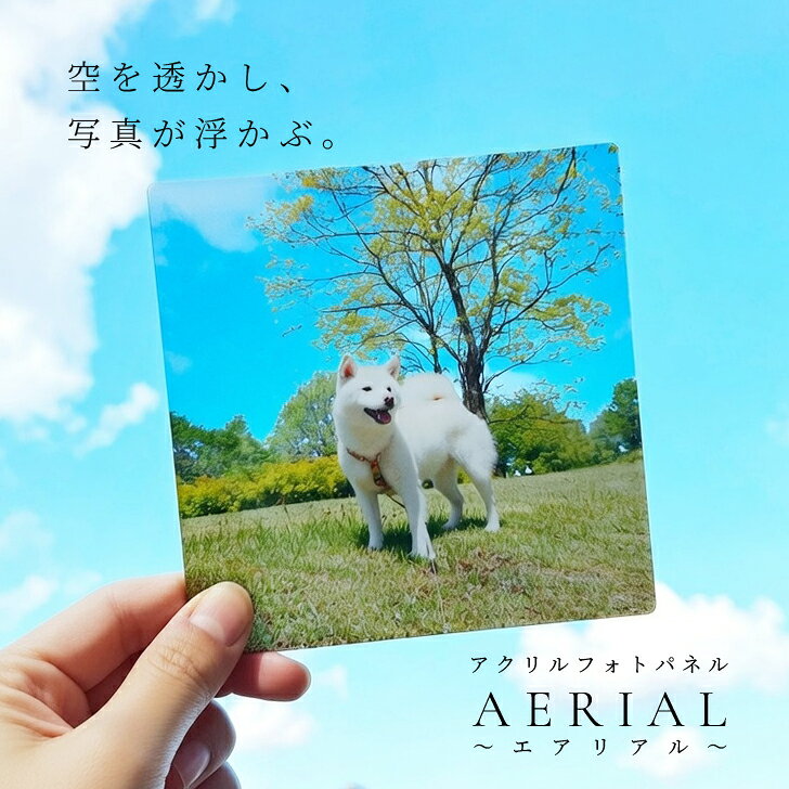 透かして映えるアクリルフォトパネル 『AERIAL(エアリアル)』 正方形145mm 厚さ3mm スタンド type　ギフト アクリルフレーム フォトフレーム オリジナル 作成 写真立て プレゼント お祝い 敬老の日 七五三 ペット 風景写真 オーダーメイド