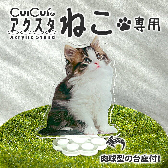 ☆ネコ専用☆ アクリルスタンド 【 8cm〜12cm 】 オリジナル 猫 ペット アクスタ 雑貨 オリジナル 写真 猫 ねこ 雑貨 誕生日 記念日 プレゼント ...
