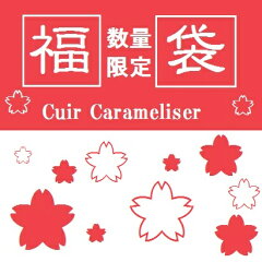 https://thumbnail.image.rakuten.co.jp/@0_mall/cuir-carameliser/cabinet/04055435/04923865/imgrc0073420660.jpg