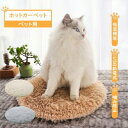 【残6時間!月末限定!全品10%OFF】ペット用ホットカーペット 給電式 ペットヒーター 猫 犬 用 ペット用ヒーター カバー ヒーターマット 電気パット 噛み...