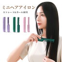 【18時間マラソンスタートダッシュP10!】ヒートブラシ コードレス ブラシアイロン 蓋あり ポータブル クイックスタイリング USB充電式 2way マイナス...