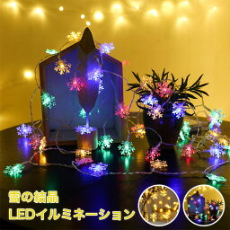 【月末ダッシュP5倍&最大1000円OFFクーポン】イルミネーションライト 雪花 LED 3m 電球数20 電池式 4.5m 電球数30 6m電球数40 10m電球数80 三サイズ ストリングライトusb式 クリスマス　ギフト