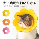 【期間限定！最大1000円OFFクーポン】エリザベスカラー 猫 ソフト 2枚セット 柔らかい 首輪 ペット用 介護用品 猫用 軽量 傷舐め防止 術後 噛む防止 ペット介護用品 猫 犬 エリザベスカラー 軽量 術後 傷口保護 介護 避妊 術後ウェア 皮膚病 かわいい 調節可能 柔らかい