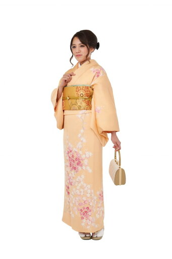 訪問着+小物フルセットレンタル・結婚式・七五三・お宮参り・入学式・卒業式・卒園式 訪問着+小物フルセットレンタル・結婚式・七五三・お宮参り・入学式・卒業式・卒園式