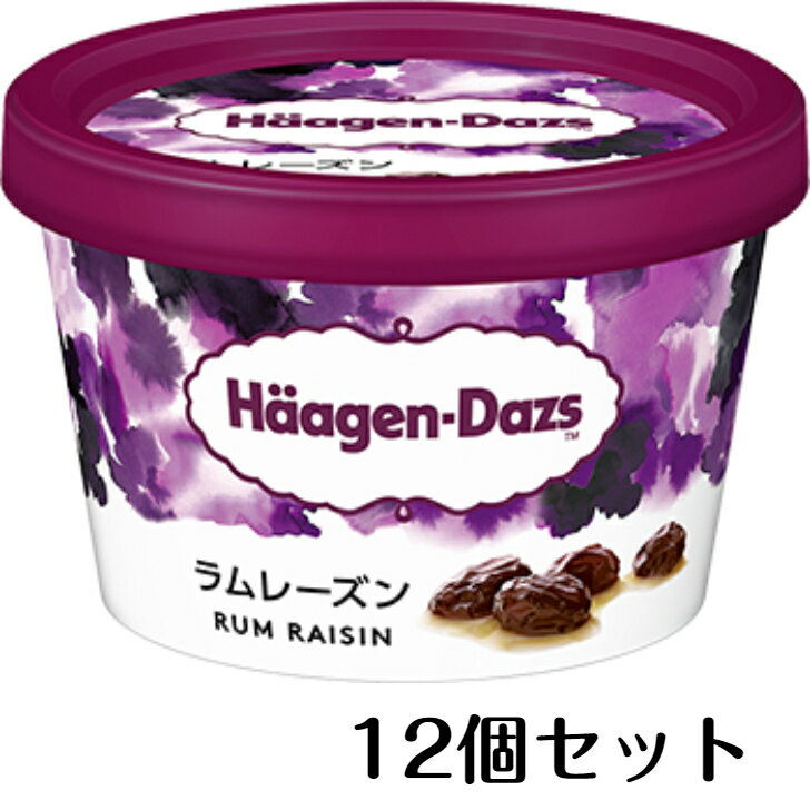 【12個セット】 ハーゲンダッツ ラムレーズン 110ml アイスクリーム アイス アイスセット セット 高級 高級アイス プレゼント 贈り物 ギフト あいす 美味しい