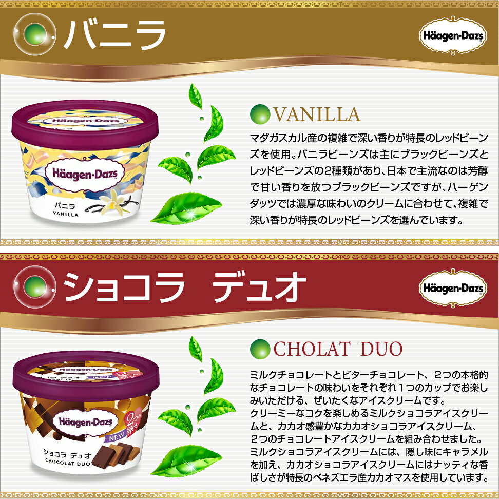 ハーゲンダッツ ミニカップ バラエティ 6種 セット 計 12個 詰め合わせ ギフト 贈...
