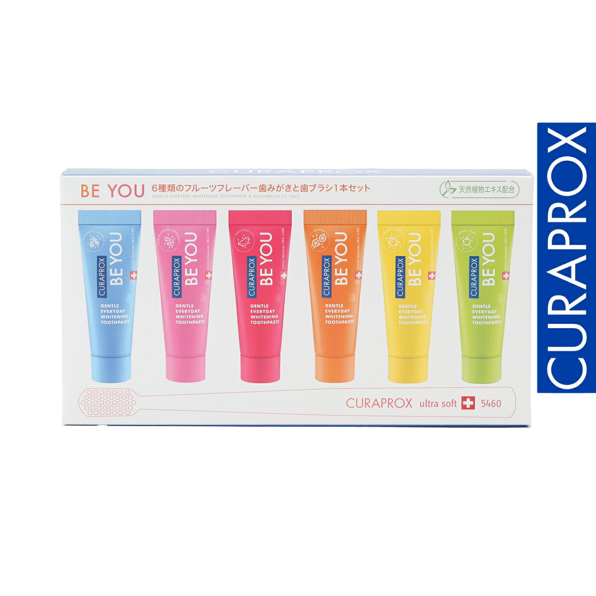 【公式】クラプロックスビーユー 歯ブラシ＋歯みがきボックスセット