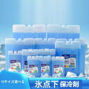 【送料無料】保冷剤 -10℃強力 ハードタイプ 2個 セット 保冷材 ペット ひんやり グッズ 長持ち 長時間 小型 ペット 暑さ対策 保冷 冷凍保存 アウトドア キャンプ ピクニック 250ml 350ml 400ml 450ml