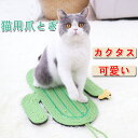【送料無料】猫用 爪研ぎ サボテン爪とぎマット 猫爪研ぎ つめとぎ 猫 ねこ おしゃれ 爪とぎ防止 爪とぎカーペット 爪やすり 爪磨き カリカリ 猫ベッド 猫お...