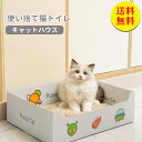 【送料無料】猫トイレ 猫 トイレ 使い捨て シンプル 抗菌 清潔 旅行 災害 衛生 38*30*12cm 4個