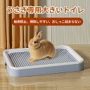 【送料無料】うさぎ トイレ ミニ すのこ付き 四角 スノコ 飼育ケージに内装 チンチラ ウサギ フラットトイレ ウサギ用品 モルモット 小動物用 トイレトレーニングに最適 おしゃれ 段差低い 掃除簡単 清潔 お手入れラクラク 全4色 25*19*3cm(4)