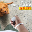 【送料無料】犬用リード 小動物 犬