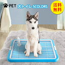 【送料無料】犬 トイレ 大きい トレー イタズラ防止 足濡れ防止 取り替え簡単 おしゃれ 犬 トイレ 犬用トイレ ペット用 レギュラータイプ 犬用 人気 おすす...