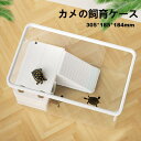 【送料無料】カメ 水槽 亀水槽 飼育ケース 305*185*184mm プラスチック 水槽 金魚 ボックス タートルタンク 日向ぼっこ台 エサ皿 ミドリガメ クサガメ スッポン 観察 階段 登りやすい カメ 飼育ケース カメボックス 隠れ穴 水の交換便利