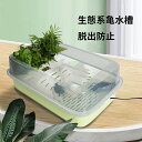 【送料無料】亀水槽 カメ 水槽 飼育ケース 飼育区域あり 取り外し可能 亀ケージ 清掃便利 ボックス カメ槽 滑り止め 休憩プラットフォーム 脱出防止 爬虫類 両生類用 水族館 両生類用品 亀 登り坂 PP材質 日向ぼっこ台 ミドリ クサガメ スッポン 観察 階段 登りやすい