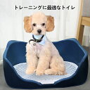 【送料無料】犬トイレトレー レギュラー メッシュ 足が濡れない 飛び散り防止 いぬペット スーパーワイド 高床式 トイレ フチもれしにくい トレーニング ペット...