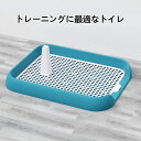【送料無料】犬トイレトレー レギュラー メッシュ すのこ 足が濡れない おしゃれ トイレトレーニング ペットトレー ワイド ペット用 フチもれ防止 抗菌Ag+ ...