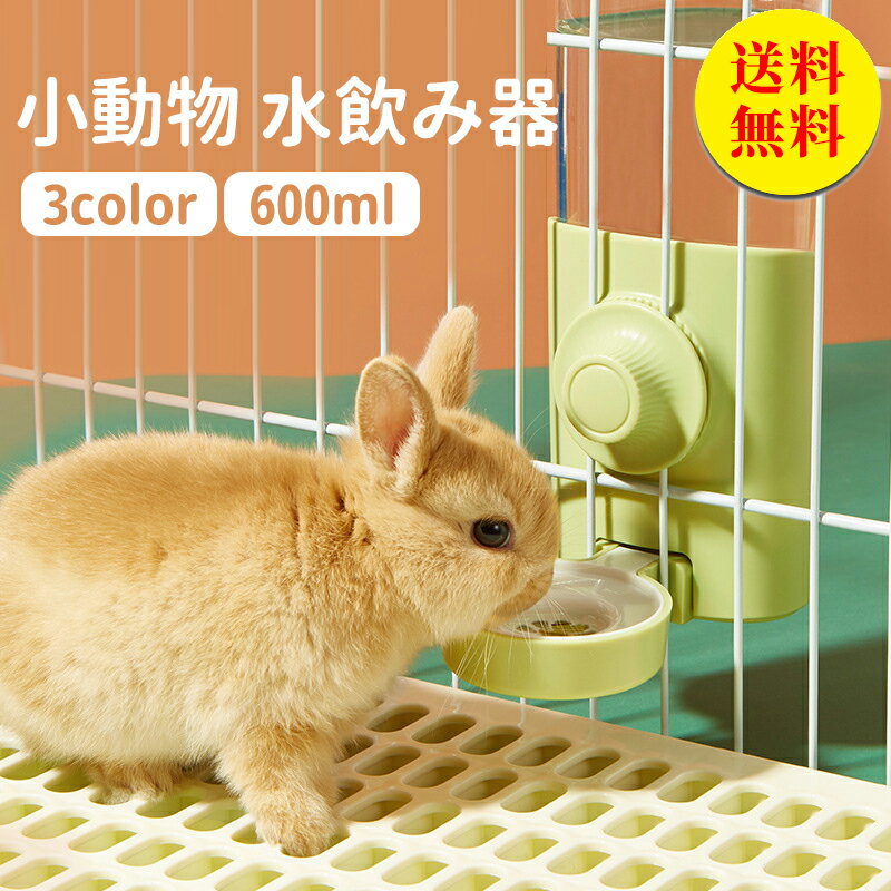 小動物用の給水器｜フェレットがゴクゴク飲める！飼育アイテムのオススメは？