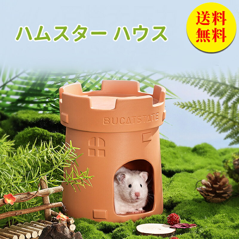 【送料無料】ハムスター 陶器 ハウス 寝床 ハムスター ひんやり 涼しい お部屋 お家 ハムスター 暑さ対策 ドワーフハムスター 小屋 小動物 はむちゃん ひんやりハウス オールシーズン 寝床 隠れ家 ペット用品 単品