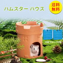 【送料無料】ハムスター 陶器 ハウス 寝床 ハムスター ひんやり 涼しい お部屋 お家 ハムスター 暑さ対策 ドワーフハムスター 小屋 小動物 はむちゃん ひん...