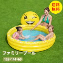 【送料無料】プール ビニールプール 165×144×69cm 家庭用プール ファミリープール 大型プール キッズプール ガーデンプール レジャープール エアープール プレイプール 家庭用 屋外用 子供用プール キッズ 大人|詳細画像