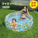 【送料無料】プール ビニールプール 150×53cm 家庭用プール ファミリープール 子供用プール キッズプール ガーデンプール レジャープール エアープール プレイプール 家庭用 屋外用 ベビー 子供 こども キッズ 大人