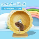 【送料無料】サイレントホイール ハムスター 回し車 15cm 19cm 21cm ランニングホイール 小動物 運動 ストレス解消 ホイール 飼育 おもちゃ クリ...
