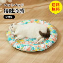 【送料無料】ペット ベッド 夏 用 ペットベッド 犬 猫 Mサイズ 接触冷感 ペット ベッド 中型犬 おしゃれ 洗える 洗濯 ペット用 室内 犬 イヌ 猫 ネコ 春 夏 涼しい すずしい ひんやり 外径70cm