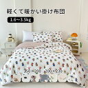 【送料無料】掛け布団 150×200cm 布団 掛ふとん 掛布団 掛け布団 ふとん 秋 春 おすすめ 暖かい 肌がけ かけふとん 掛けぶとん かけぶとん 来客用...