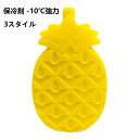 氷点下パック 保冷剤 -10℃強力 ハードタイプ 2個/4個/6個 セット パイナップル 保冷材 ペット ひんやり グッズ 長持ち 長時間 小型 ペット 暑さ対策 保冷 冷凍保存 氷点下 アウトドア キャンプ ピクニック 果物 急速凍結 超低温 スイカ サボテン