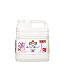 キレイキレイ 薬用泡ハンドソープ 詰め替え(4L) 