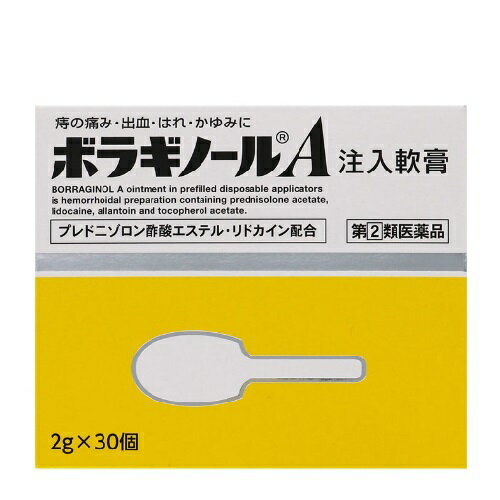 【第(2)類医薬品】ボラギノールA注入軟膏 (2g×30個)[送料無料（離島・沖縄を除く）] 1