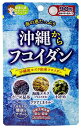 お徳用バーゲン 【メール便送料無料】 フコイダン サプリメント （約3ヶ月分・90粒） 1日1粒100mgの フコイダン サプリ ふこいだん 沖縄モズク（もずく）エキス抽出 フコイダンサプリ フコイダンエキス ギフト 福袋 楽天