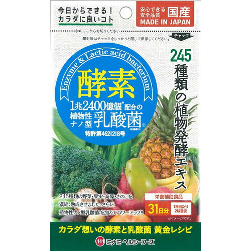 商品説明商品詳細ミナミヘルシーフーズ 酵素プラス植物性ナノ型乳酸菌 31日分 62球区分　健康補助食品・酵素・ダイエット・乳酸菌内容　62粒 ※パッケージデザイン等は予告なく変更されることがあります。「ミナミヘルシーフーズ 酵素プラス植物性...