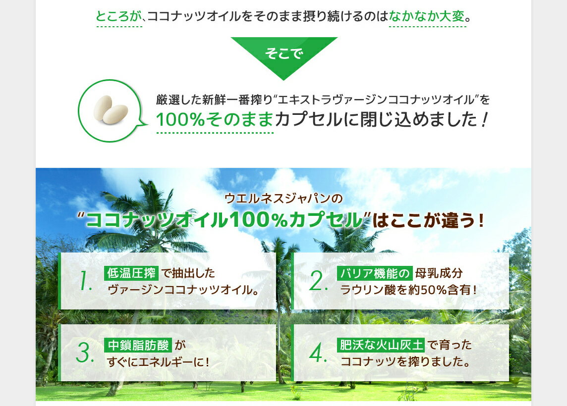 �ڥ᡼�����б��ۡ�������ͥ�����ѥ󡡥����ʥåĥ�����100�󥫥ץ��롡60γ�����ץ���� �� ���� �������å�