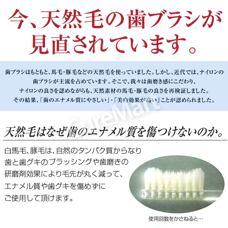 IKMT 歯ブラシ 白馬毛 ふつう コンパクトヘッド◆12本セット IKT9732 日本製 池本刷...