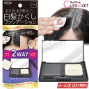 白髪かくし ファンデーション ブラック 5g コンパクトミラー 生え際ブラシ付 ヘアカラー 毛髪着色料 TKMI-009BK【メール便送料無料】コンパクト ウォータープルーフ 速乾性 白髪ぼかし 広範囲 白髪隠し 白髪 部分 部分染め 生え際 生え際用・ポイント用 東京企画