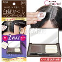 白髪かくし ファンデーション ダークブラウン 5g コンパクトミラー 生え際ブラシ付 ヘアカラー 毛髪着色料 TKMI-009DB【メール便送料無料】コンパクト ウォータープルーフ 速乾性 白髪ぼかし 広範囲 白髪隠し 白髪 部分 部分染め 生え際 生え際用・ポイント用 東京企画