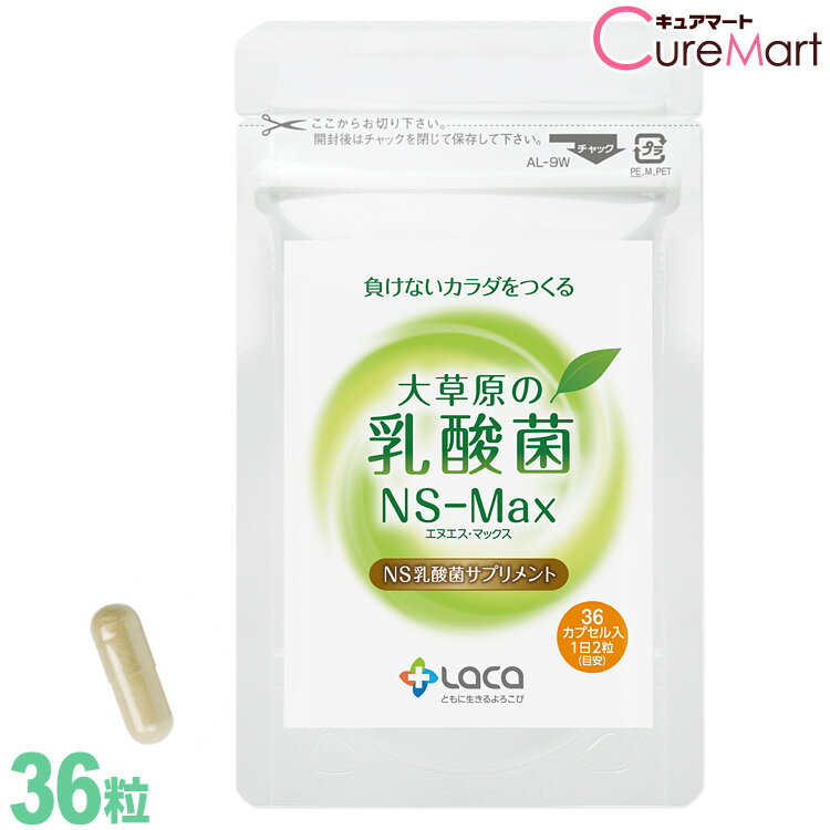 大草原の乳酸菌 NS-Max 36粒 NS乳酸菌 サプリメント モンゴル 乳酸菌 ロイテリ菌 善玉菌 共生性乳酸菌 乳酸桿菌 ラクア cpt