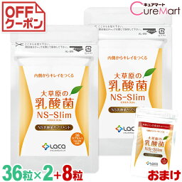 大草原の乳酸菌 NS-Slim 36粒◆2袋セット ＋[8粒 増量] NS乳酸菌 モンゴル乳酸菌 ダイエットサプリメント スリム 善玉菌