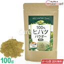 100％ ヒハツ パウダー 100g【メール便送料無料】ヒハツパウダー ロングペッパー ピペリン ヒ ...